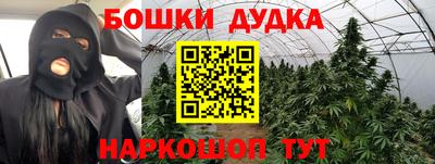 индика Шахты