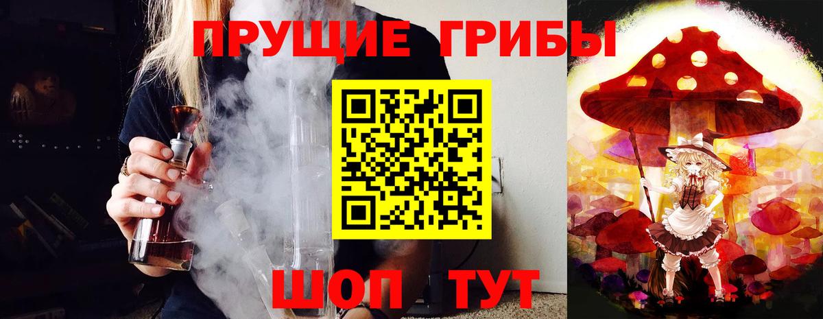 Миасс  Псилоцибиновые грибы Psilocybine cubensis  Вход с VPN 