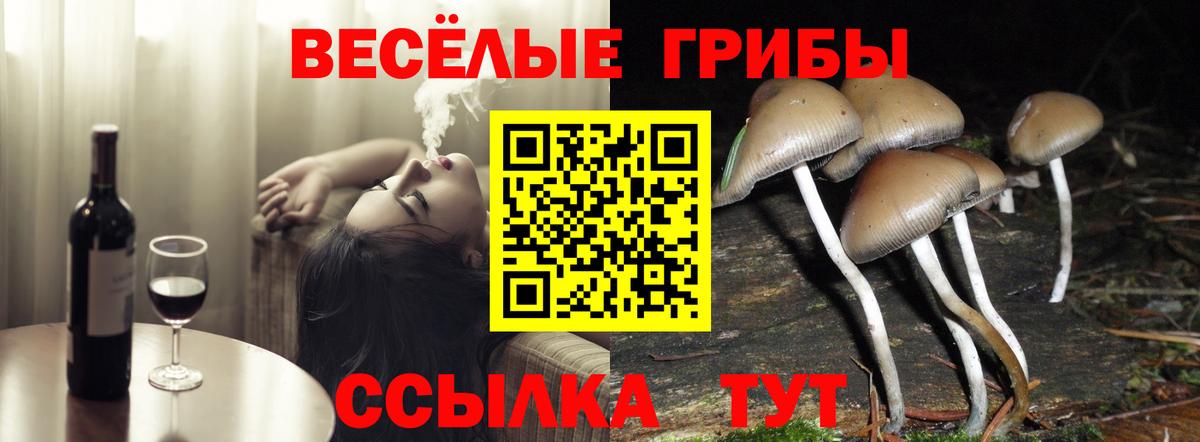 Псилоцибиновые грибы Cubensis Миасс